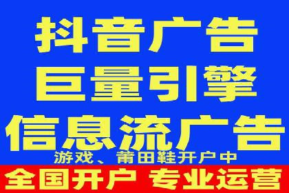 搜索引擎优化（SEO）与竞价广告（SEM）的对比案例